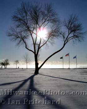 Photograph of Tree Shadows on Snow from www.MilwaukeePhotos.com (C) Ian Pritchard
